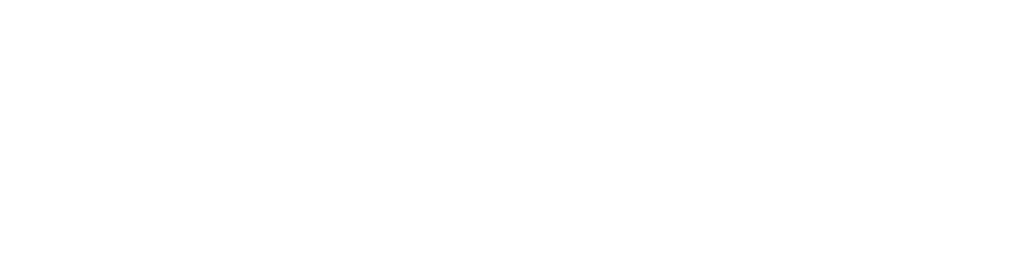 Logo Senior Flow